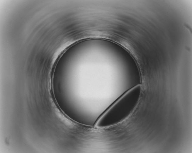 X0000103311136200808291147