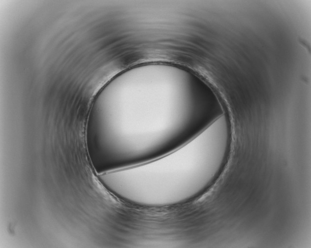 X0000103311137200808291147