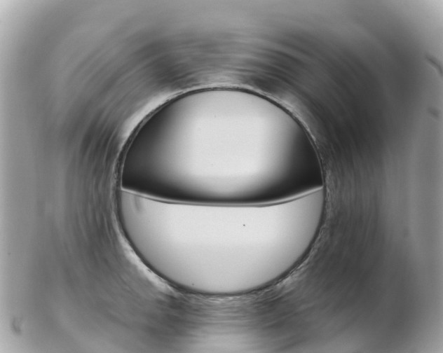 X0000103311142200808291147