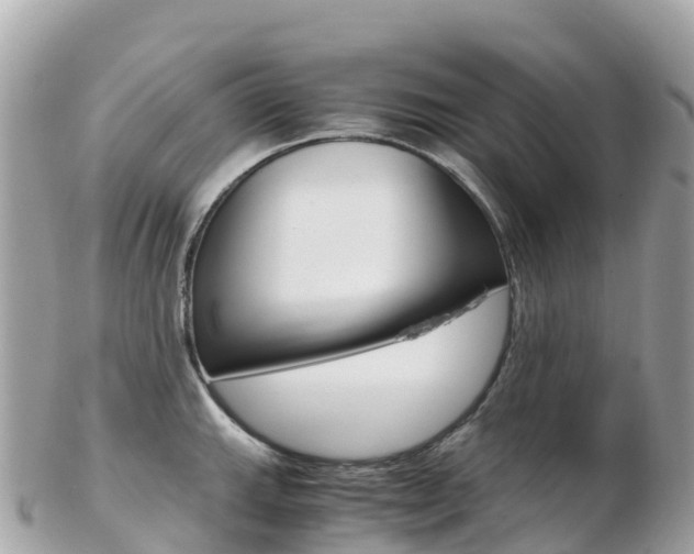 X0000103311143200808291147