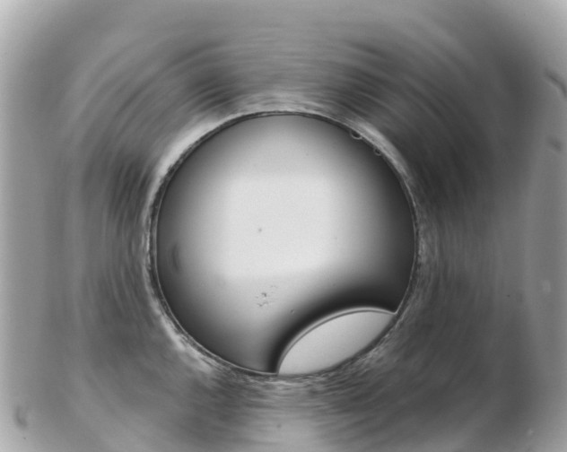X0000103311144200808291147