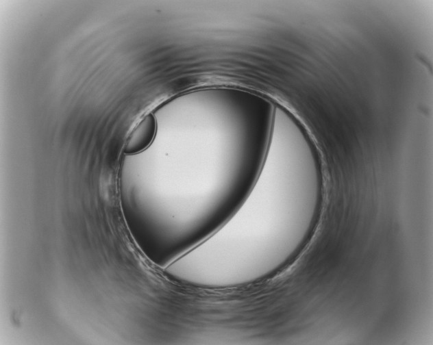 X0000103311145200808291147