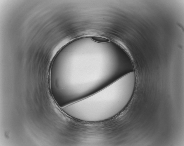 X0000103311146200808291147