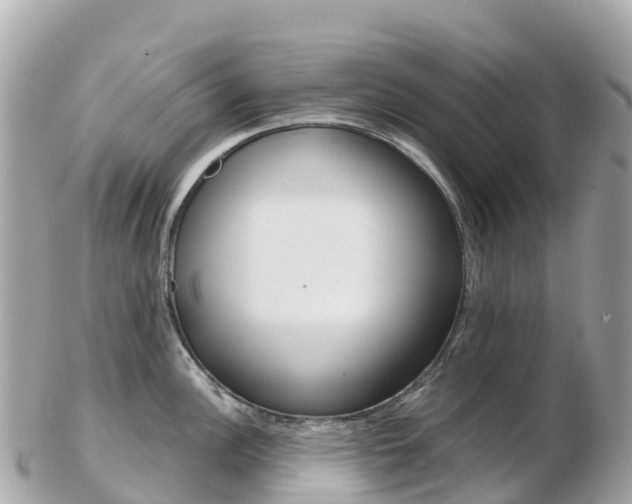 X0000103311148200808291147
