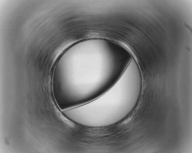 X0000103311149200808291147