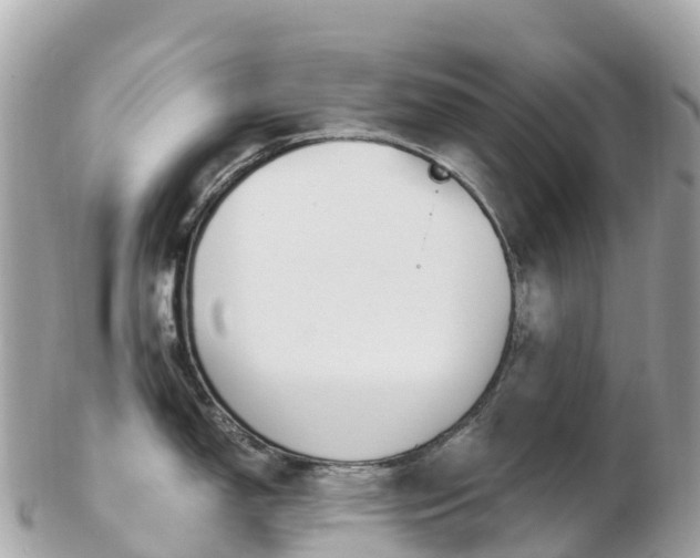 X0000103311150200808291147