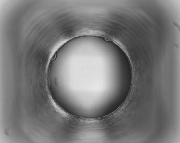 X0000103311152200808291147