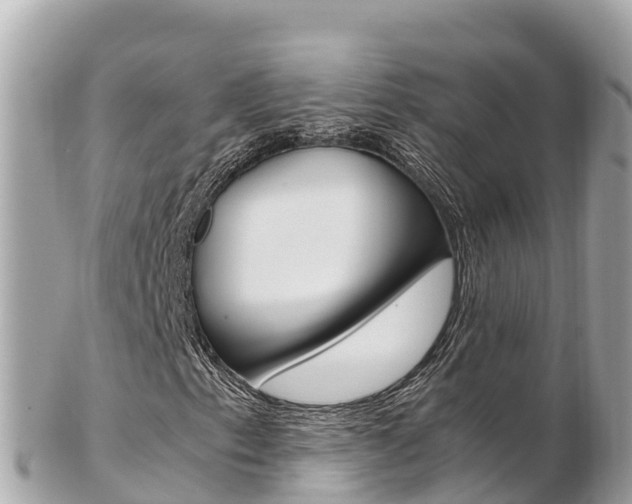 X0000103311153200808291146