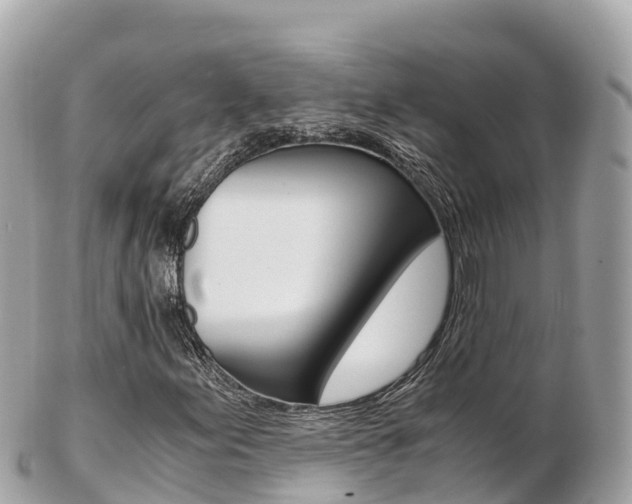 X0000103311155200808291146