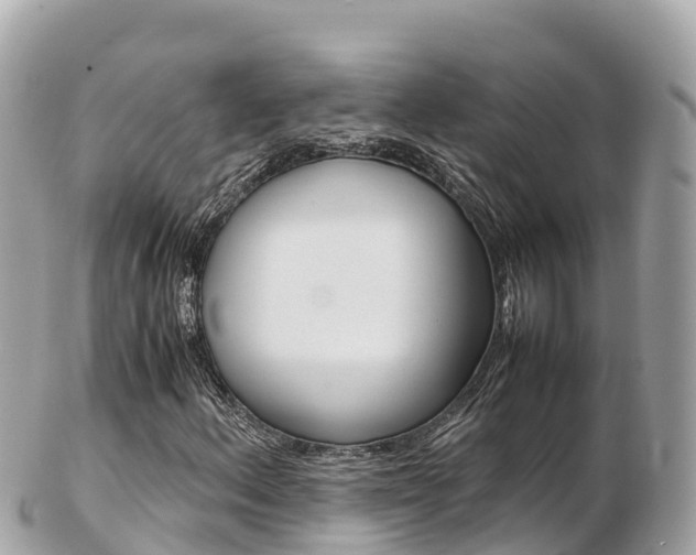 X0000103311156200808291146