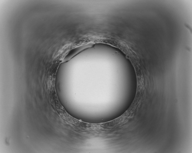 X0000103311157200808291146