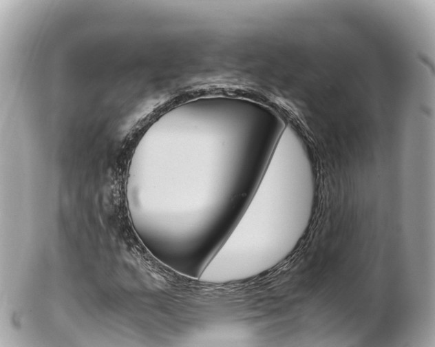 X0000103311159200808291146