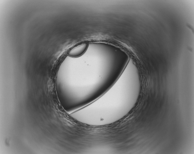 X0000103311160200808291146