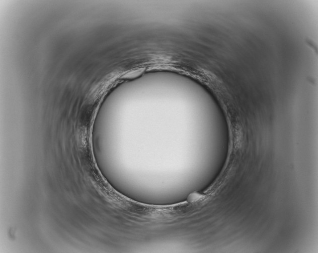 X0000103311161200808291146