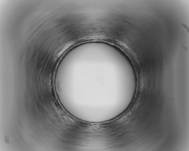 X0000103311162200808291146