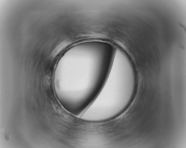 X0000103311163200808291146