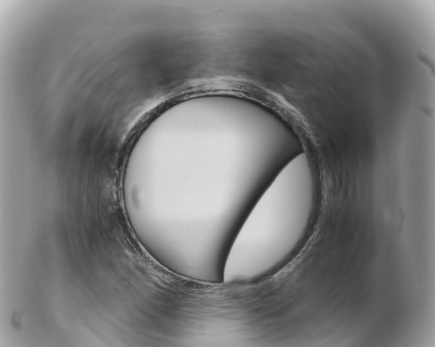 X0000103311166200808291146