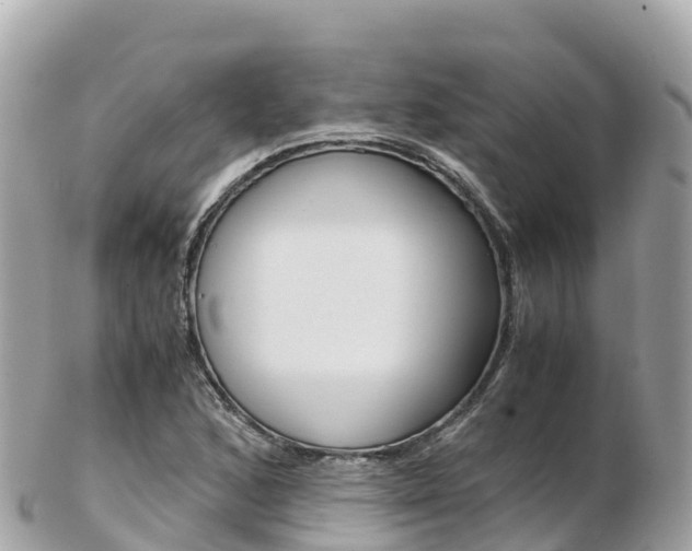 X0000103311168200808291146