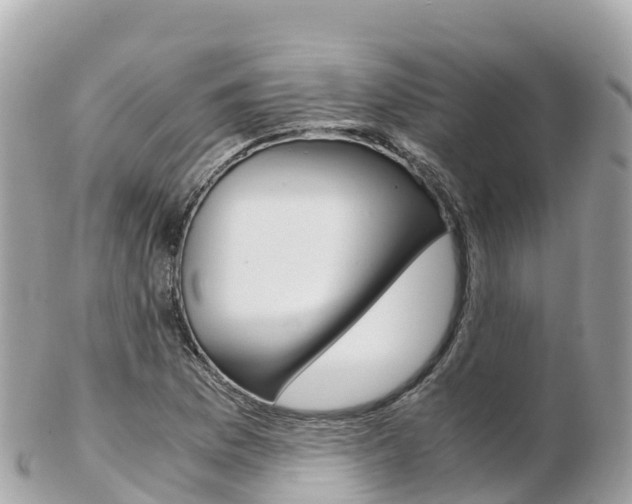 X0000103311169200808291146