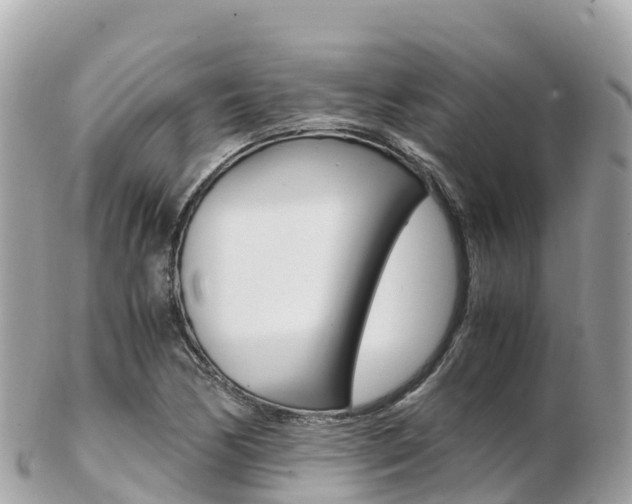 X0000103311170200808291146