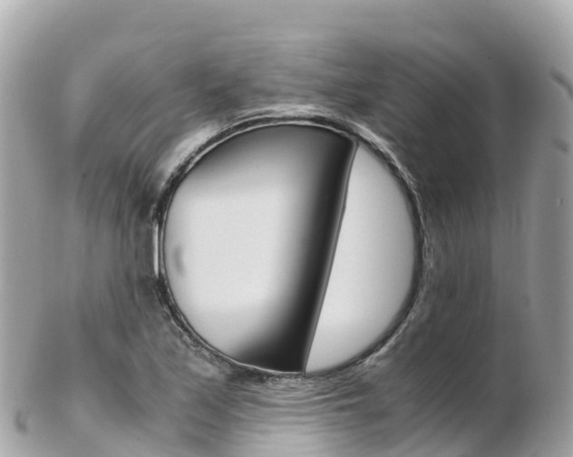 X0000103311171200808291146