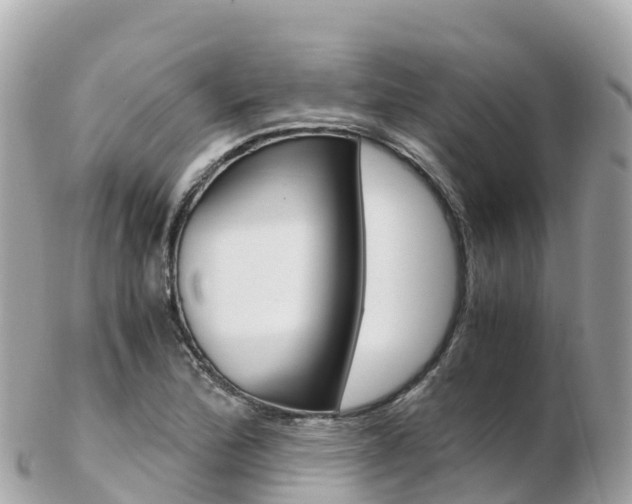 X0000103311172200808291146