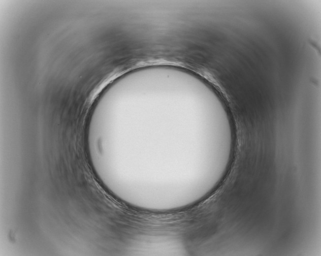 X0000103311173200808291146