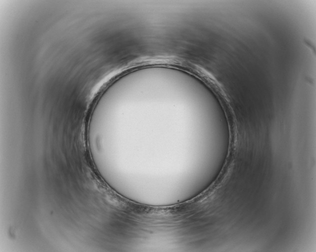 X0000103311174200808291146