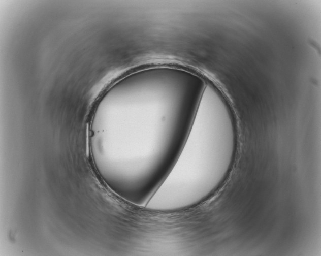 X0000103311175200808291146
