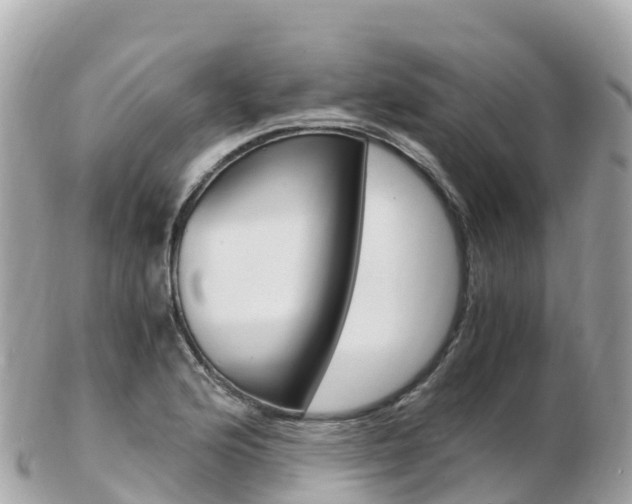X0000103311176200808291146