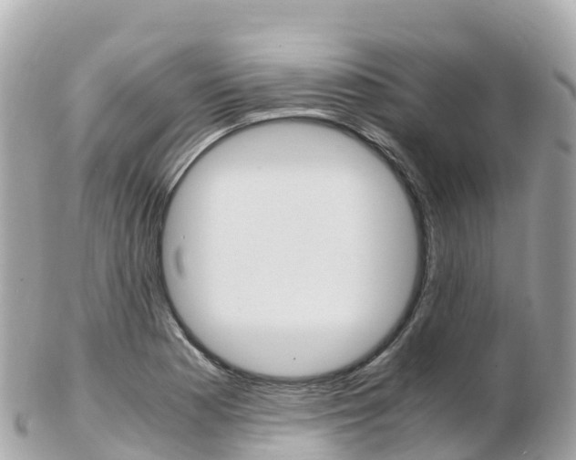 X0000103311177200808291146