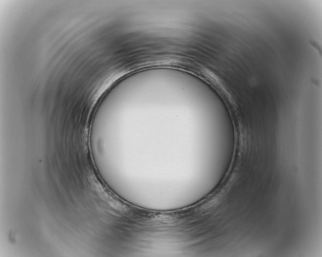 X0000103311178200808291146