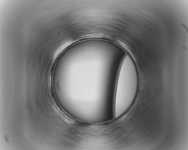 X0000103311179200808291146