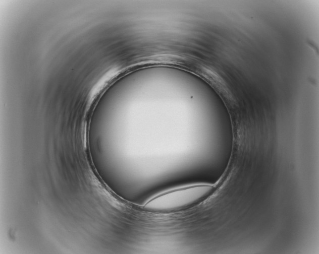 X0000103311180200808291146