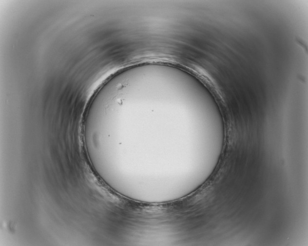 X0000103311182200808291146