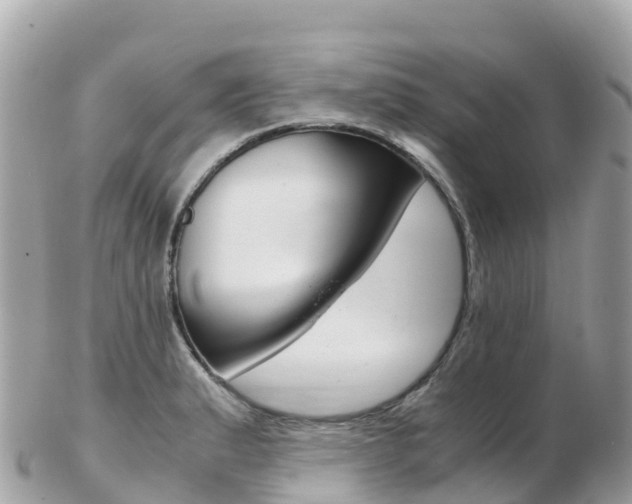 X0000103311183200808291146