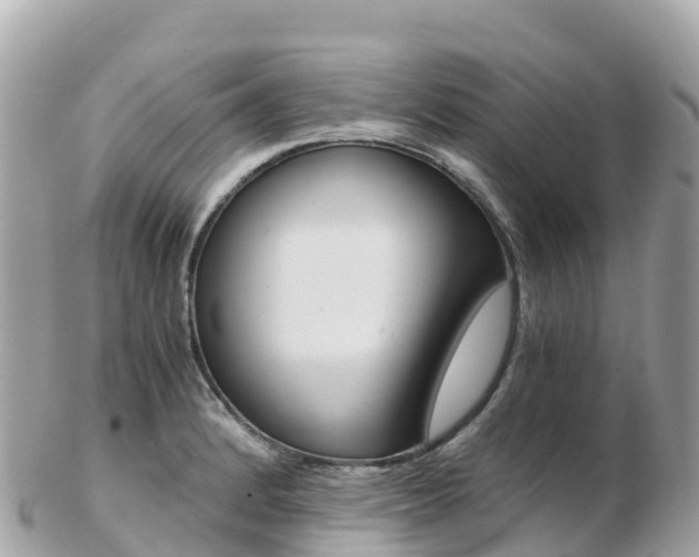 X0000103311184200808291146