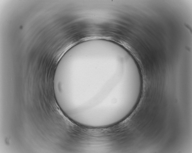 X0000103311185200808291146
