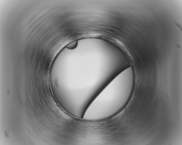 X0000103311186200808291146
