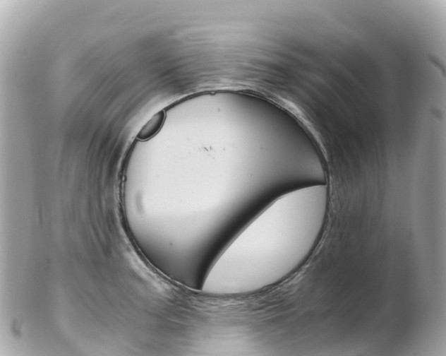 X0000103311187200808291146