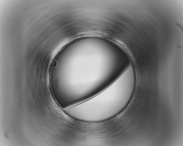 X0000103311188200808291146