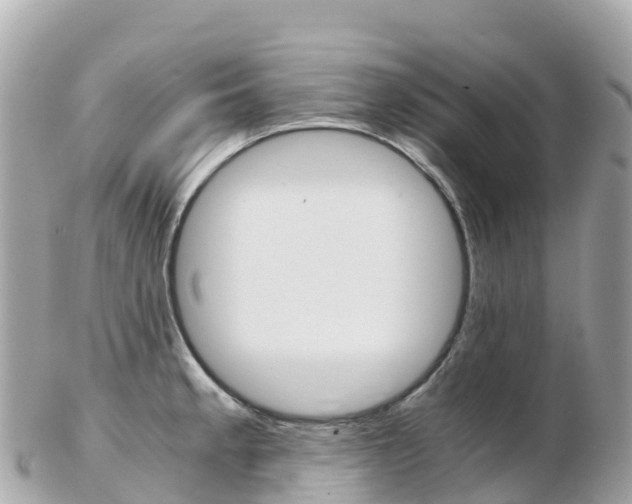 X0000103311189200808291146