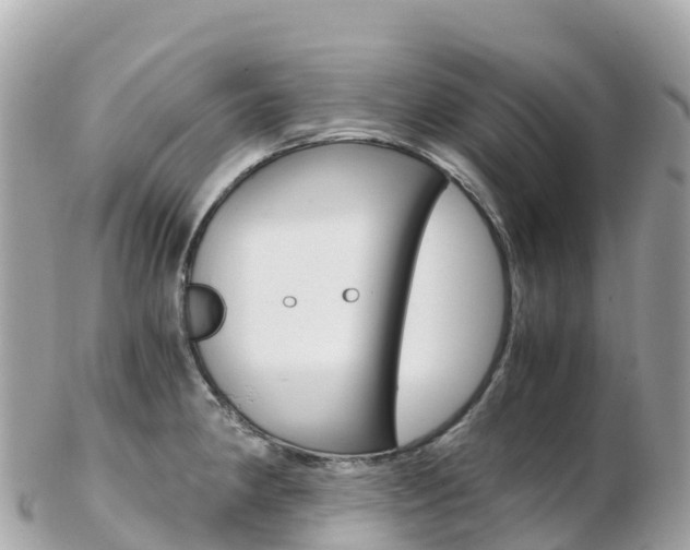 X0000103311190200808291146