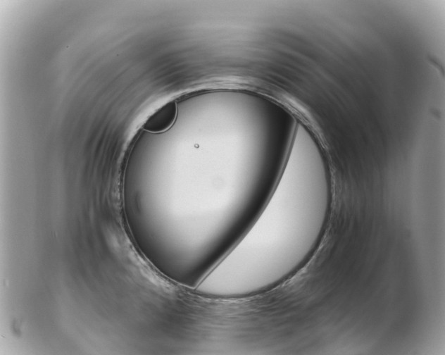 X0000103311192200808291146