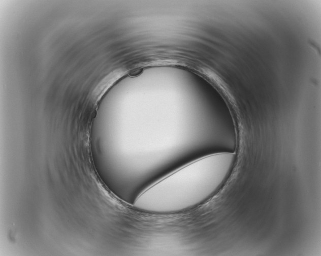 X0000103311193200808291146