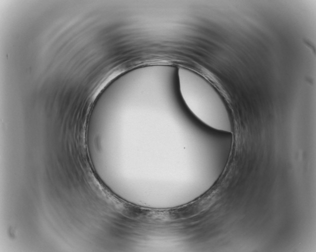 X0000103311194200808291146