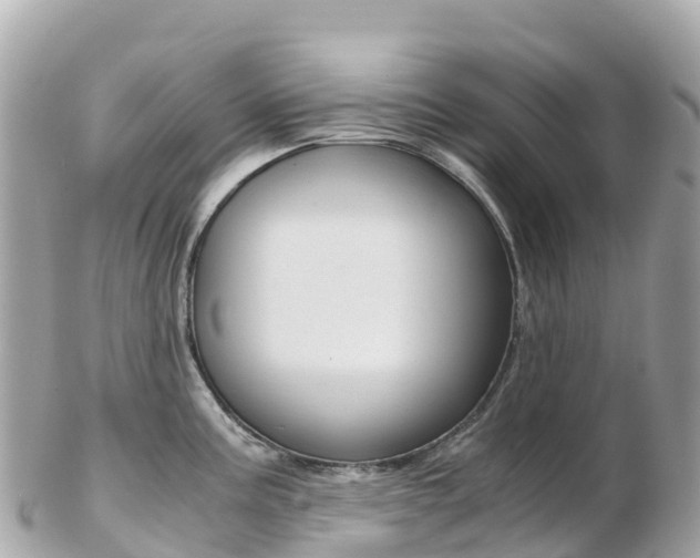 X0000103311195200808291146