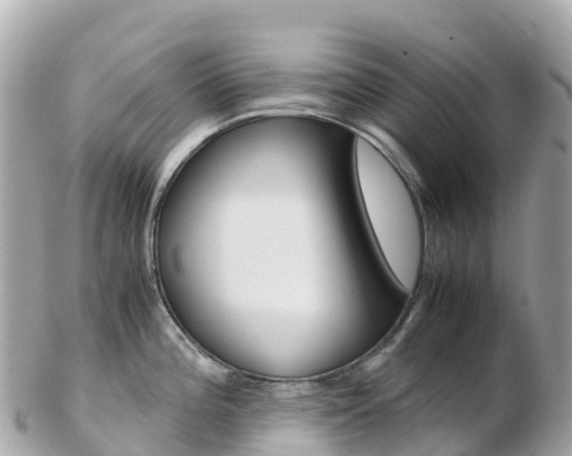 X0000103311196200808291145