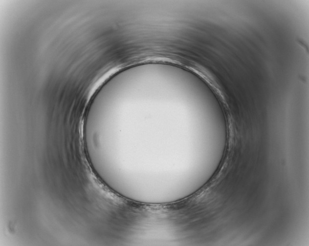 X0000103311198200808291145