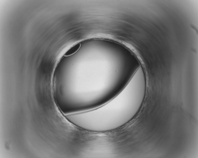 X0000103311199200808291145